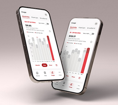 Do it all on the app image